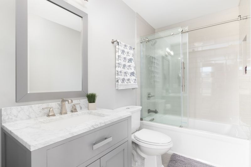 Top Tub To Shower Conversion Companies in South Milwaukee, WI
