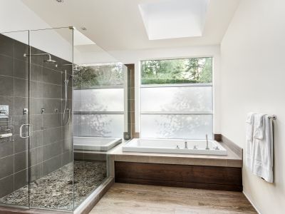 Top Tub To Shower Conversion Companies in Sussex, WI